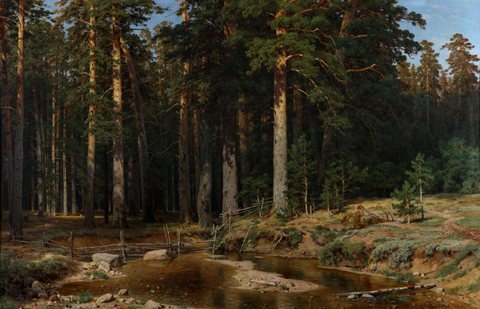 Mast Tree Grove