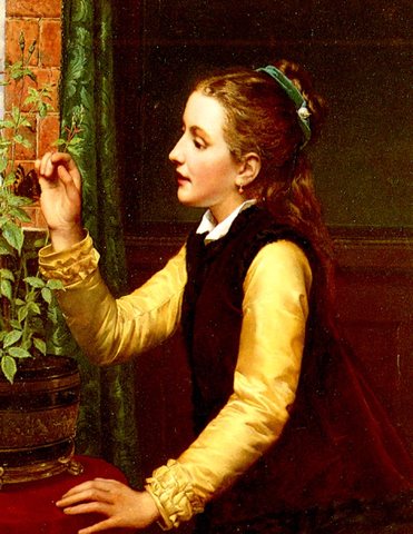Jan Frederick Pieter The Butterfly