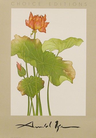 lotus