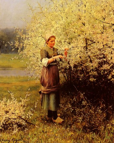 Daniel Ridgeway Spring Blossoms