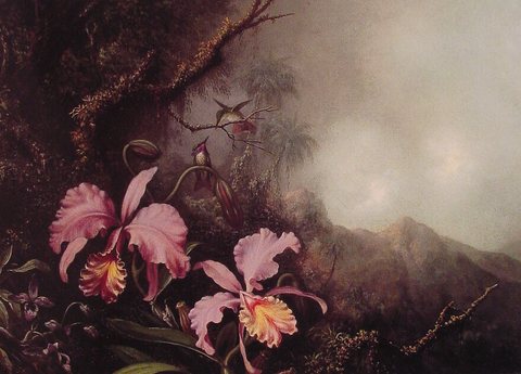 Two Orchids in a mountain Landscape