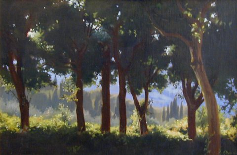 Through the Trees