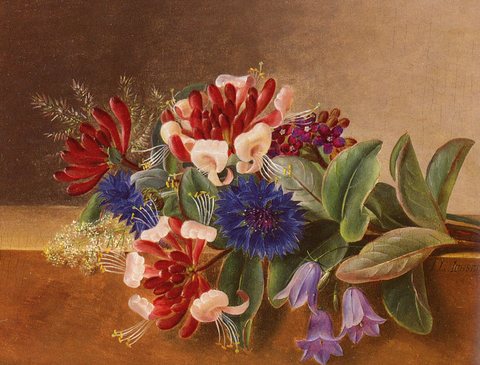 A Still Life With Honeysuckle