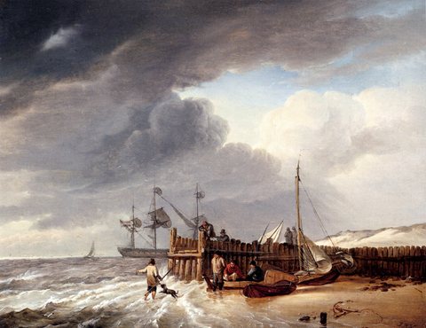 Koekoek Johannes Hermanus On The Beach