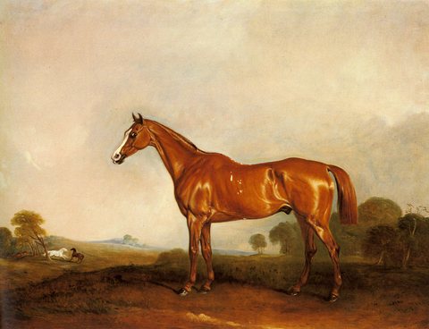 Ferneley Sr John E A Chestnut Hunter In A Landscape