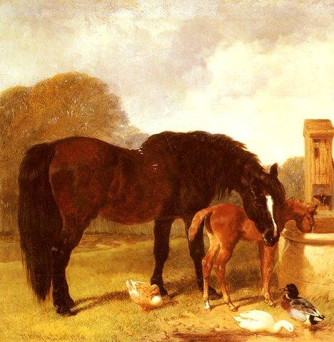 Herring Snr John Frederick Horse And foal Watering At A Trough